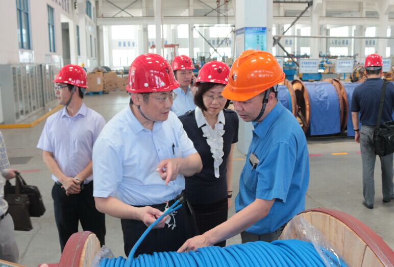 2016年7月22日，瀘州市委常委、副市長王建翔一行來上上電纜參觀考察