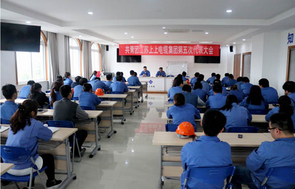 2016年4月20日，共青團江蘇上上電纜集團第五次代表大會召開