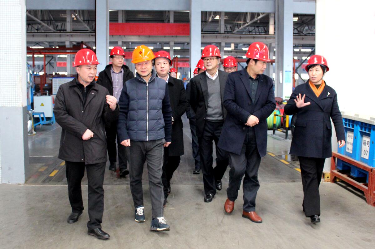 2019年3月7日，廣安市岳池縣考察團(tuán)來(lái)上上電纜參觀考察